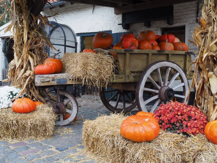 Halloween in Plopsaland (De Panne, Belgium)